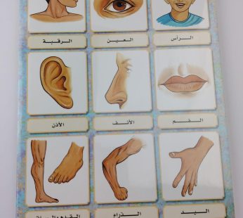 ملصقات تعليمية أعضاء الجسم