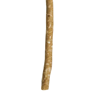 مسواك الاراك